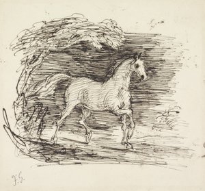 Un cheval gris trottant hors d