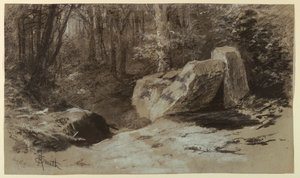 Rochers dans les bois