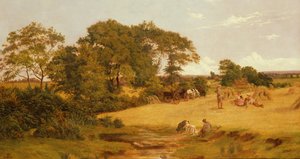 Champ de maïs dans l