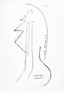 Poemes et Dessins de la Fille nee sans Mere, no.23, published by Imprimeries Reunies, Lausanne - Francis Picabia