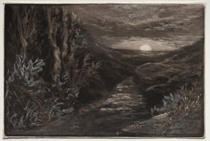 Un ruisseau de lande