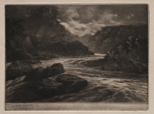 Une rivière à saumons