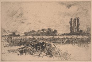 Un Pré Humide - Francis Seymour Haden