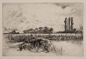 Un pré humide - Francis Seymour Haden