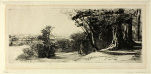Tôt le Matin, Parc de Richmond - Francis Seymour Haden