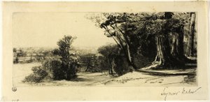 Tôt le matin, parc de Richmond - Francis Seymour Haden