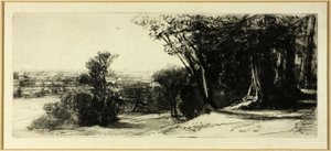 Tôt le matin, Richmond Park - Francis Seymour Haden