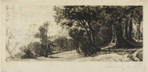 Tôt le matin, Richmond Park - Francis Seymour Haden