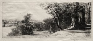 Matin tôt, Richmond Park - Francis Seymour Haden