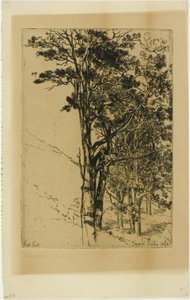 Sapin (une étude) - Francis Seymour Haden