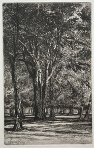 Jardins de Kensington (La Grande Planche) - Francis Seymour Haden