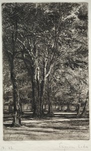 Jardins de Kensington (La Grande Planche) - Francis Seymour Haden