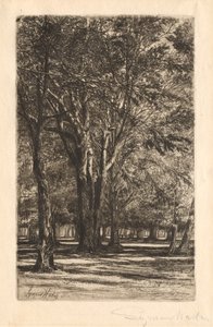 Kensington Gardens, No. 2 Grande Plaque - Francis Seymour Haden