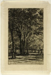 Jardins de Kensington, No. II (grande planche) - Francis Seymour Haden