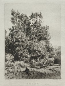 Paysage