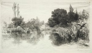 Shere Mill Pond La plus grande planche, 1860 - Francis Seymour Haden