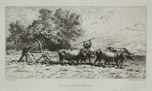 Attelage de bœufs - Francis Seymour Haden