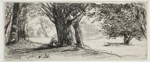 Le champ de houx - Francis Seymour Haden