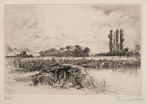 Pré humide - Francis Seymour Haden