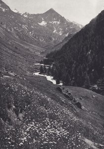 Alpes orientales : Dans la vallée de Windach - Francis Sydney Smythe