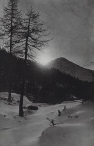 Les Alpes : Près d