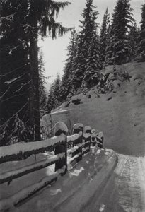 Les Alpes : Matin d