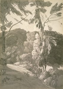 Paysage boisé (Scène à Indinowle) 1783 - Francis Towne
