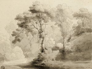 Paysage boisé