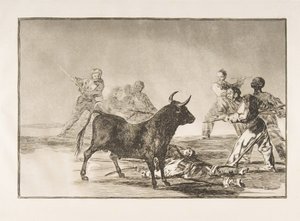 Planche 12 de la Tauromachie : La foule coupe les jarrets du taureau avec des lances, des faucilles, des bande..., 1816 - Francisco de Goya