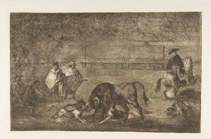 Planche C : Les chiens lâchés sur le taureau, vers 1816 - Francisco de Goya