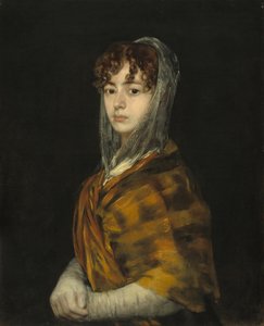 Señora Sabasa Garcia - Francisco de Goya