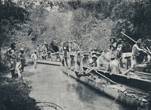 Exploration du Rio de Sto. Anastacio, 1895 - Francisco Henszler