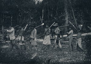 Indios Guaranys, voltando de uma caçada, 1895 - Francisco Henszler