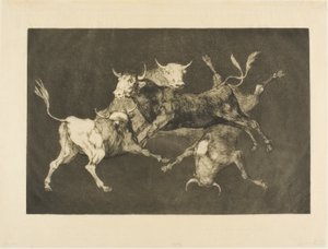 La folie du fou, de Disparates - Francisco Jose de Goya y Lucientes