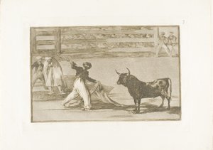 Origine des harpons ou banderilles, planche sept de L
