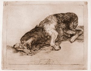 Les Désastres de la guerre : Monstre fier ! - Francisco de Goya
