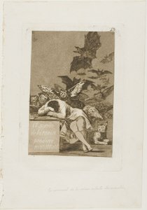 Le sommeil de la raison engendre des monstres, planche 43 de Los Caprichos