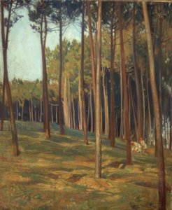 Le pin rouge - Francisco Llorens Diaz
