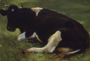 Vache