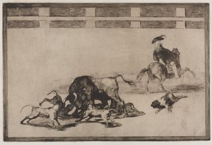 Corridas : Ils lâchent des chiens sur le taureau - Francisco de Goya