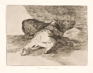 Il en tire quelque chose ! (40) - Francisco de Goya