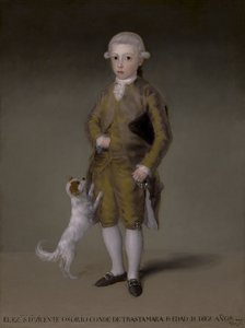Don Vicente Isabel Osorio de Moscoso y Álvarez de Toledo, Comte de Trastámara, c.1787-88 - Francisco de Goya