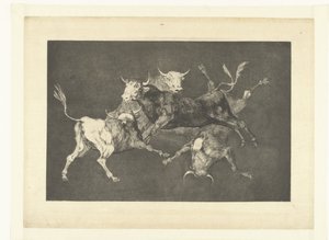 Folie des petits taureaux - Francisco de Goya