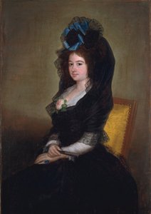 Narcisa Barañana de Goicoechea, 1815-6 - Francisco de Goya