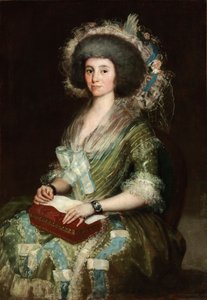 Portrait de Dona Manuela Camas - Francisco de Goya