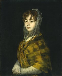 Señora Sabasa Garcia - Francisco de Goya
