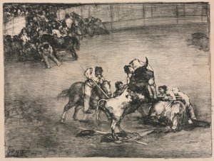 Les Taureaux de Bordeaux : Picador attrapé par un taureau