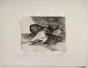 Les horreurs de la guerre : Il en tire quelque chose - Francisco de Goya