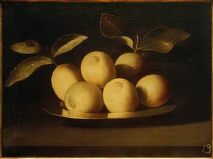 Citrons sur un plateau en argent