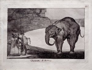 Folie animale - Francisco de Goya